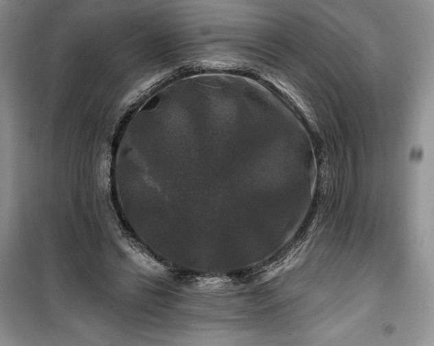 X0000100370446200806131041