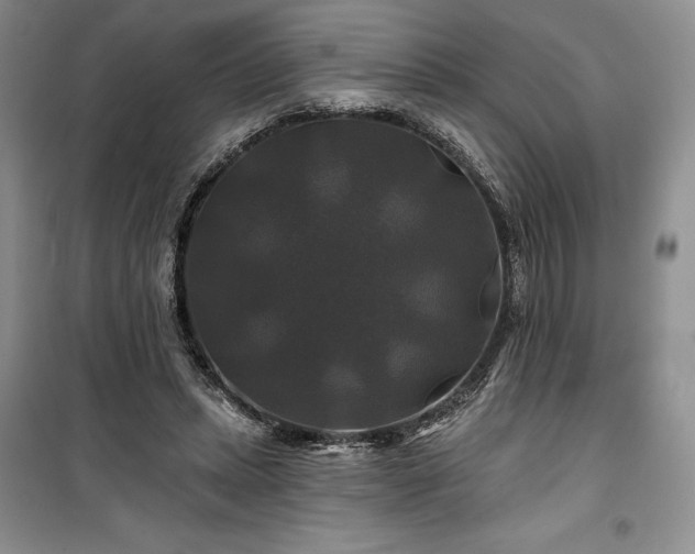 X0000100370447200806131041