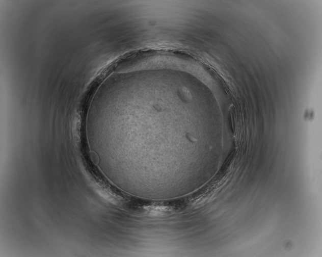 X0000100370448200806131041