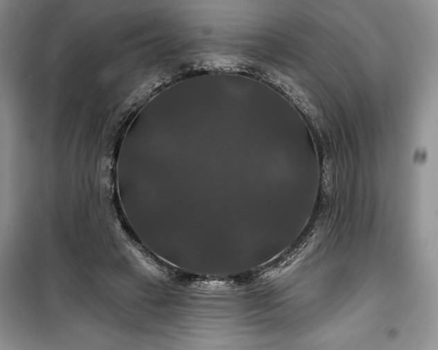 X0000100370449200806131041