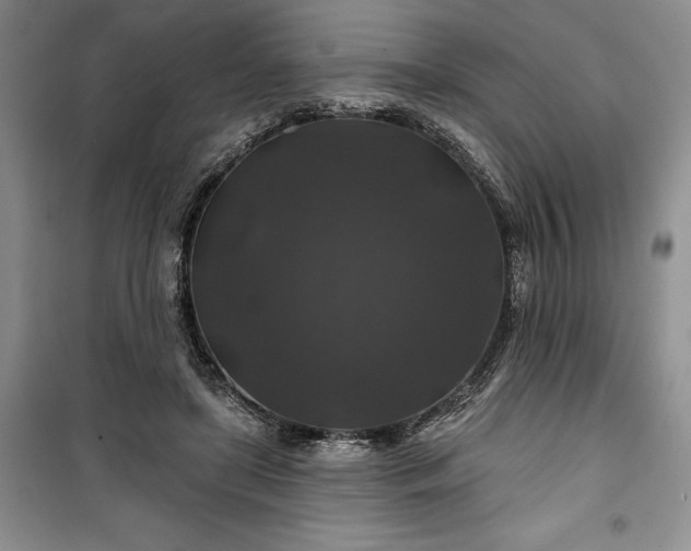 X0000100370451200806131041