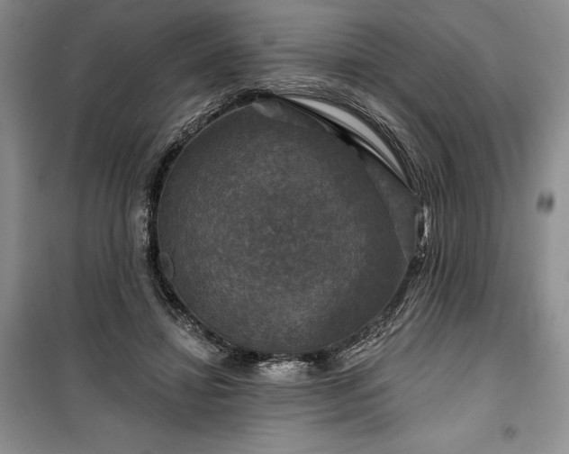 X0000100370452200806131041