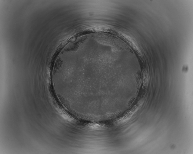 X0000100370453200806131041