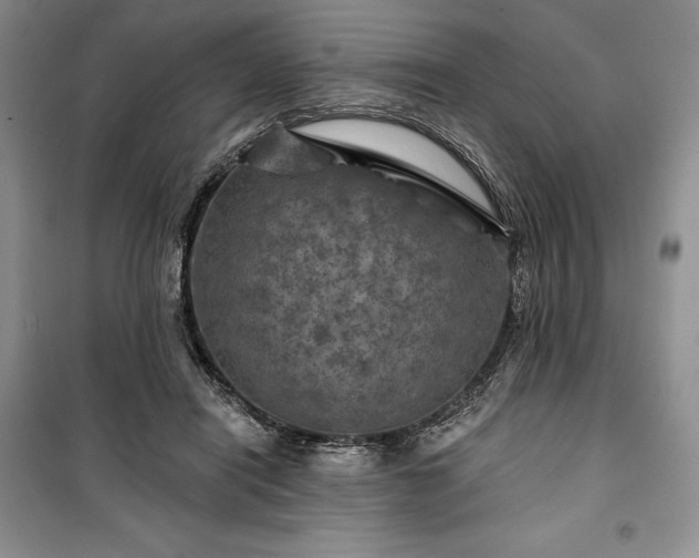 X0000100370454200806131041