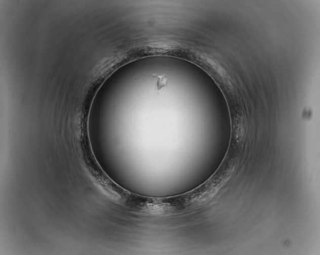 X0000100370455200806131041