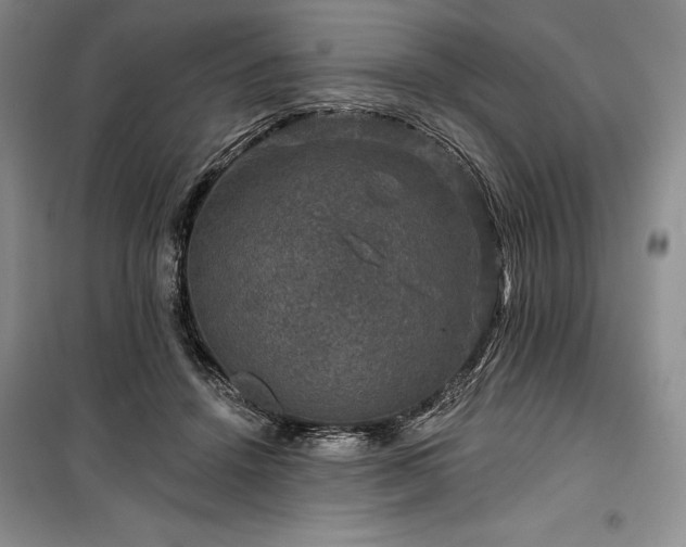 X0000100370456200806131041