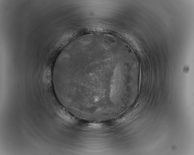 X0000100370457200806131041