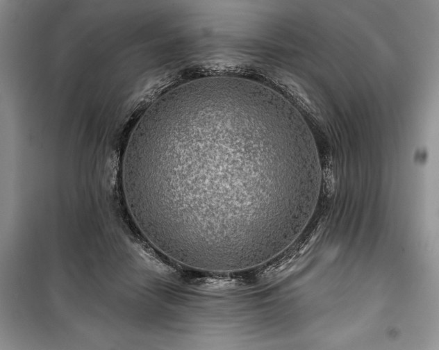 X0000100370458200806131041