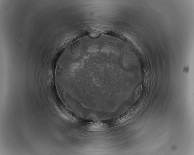 X0000100370459200806131041