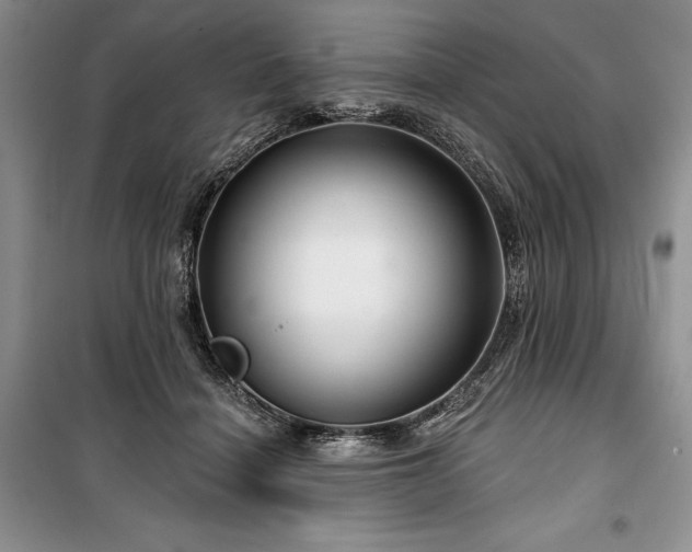 X0000100370460200806131041