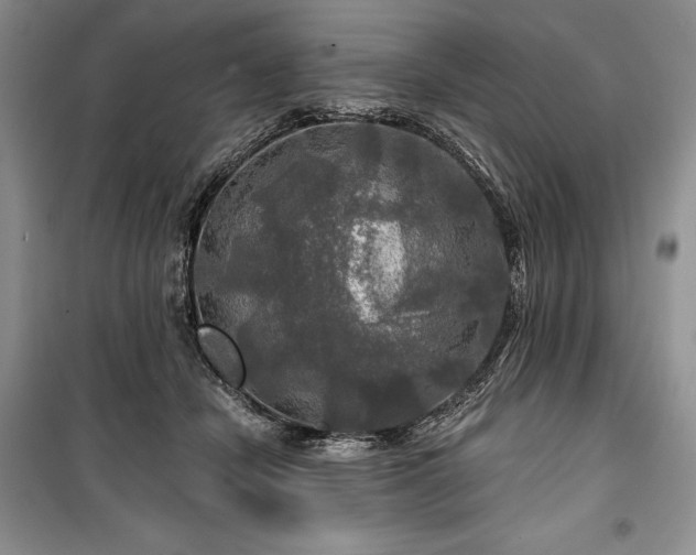 X0000100370462200806131041