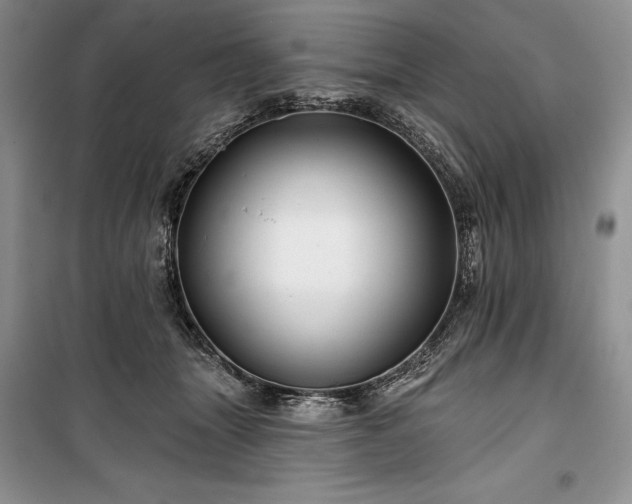 X0000100370463200806131041