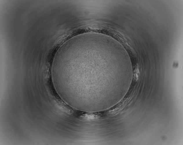 X0000100370464200806131041