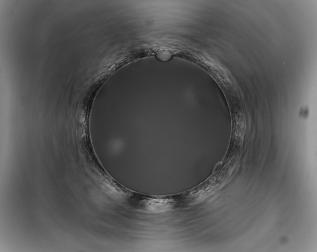 X0000100370465200806131041