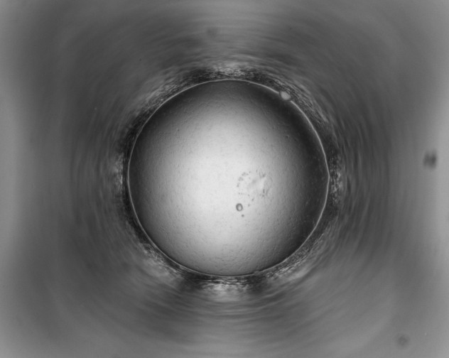 X0000100370466200806131041