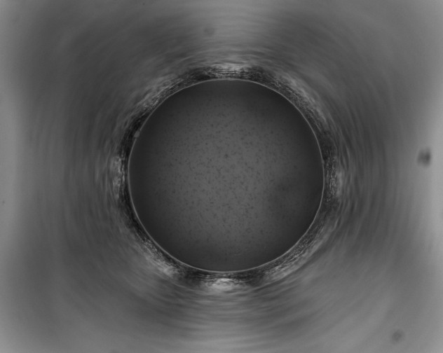 X0000100370467200806131041