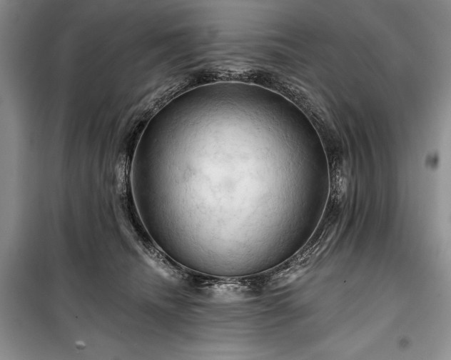 X0000100370468200806131041