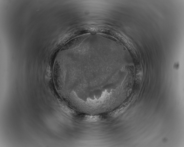 X0000100370469200806131041