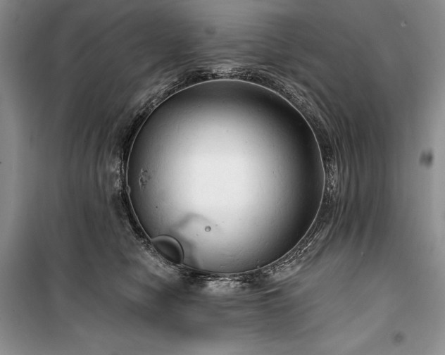 X0000100370470200806131041