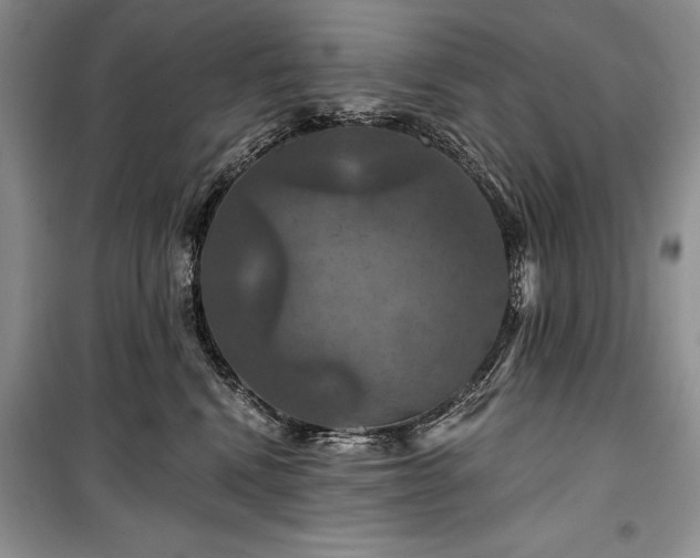 X0000100370472200806131041