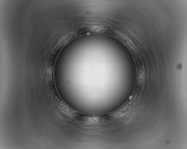 X0000100370473200806131041