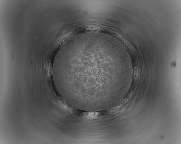 X0000100370474200806131041