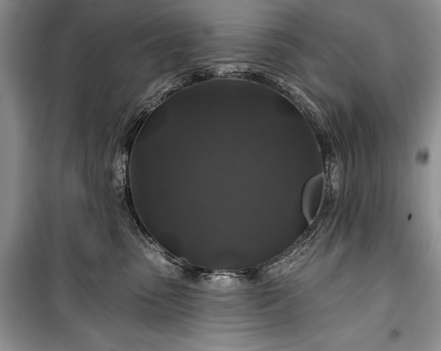 X0000100370475200806131041