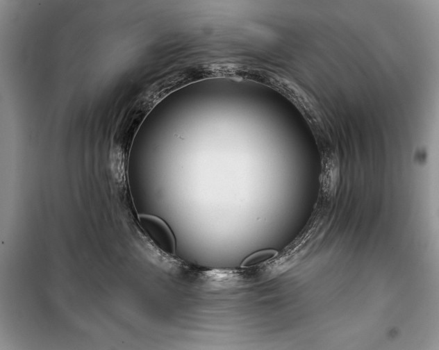 X0000100370477200806131042