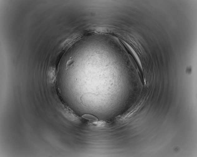 X0000100370478200806131042