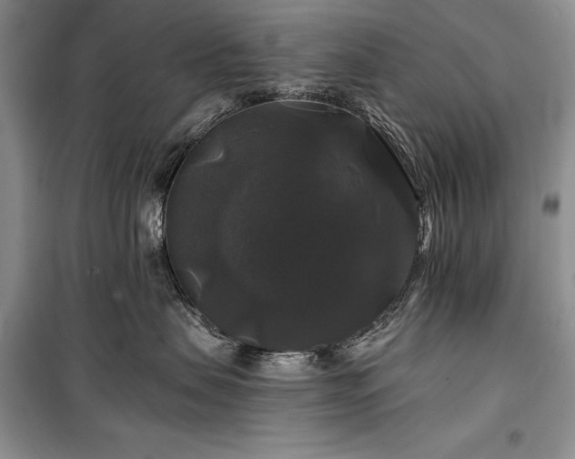 X0000100370479200806131042