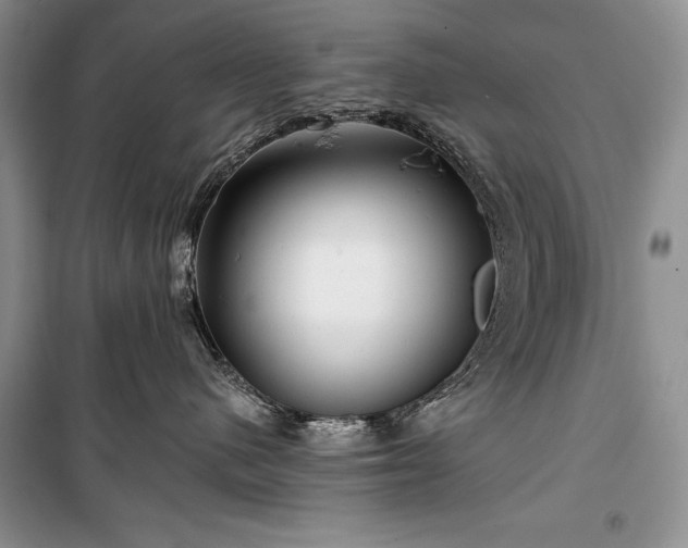 X0000100370480200806131042