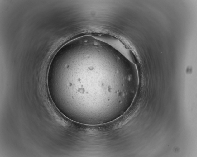 X0000100370481200806131041