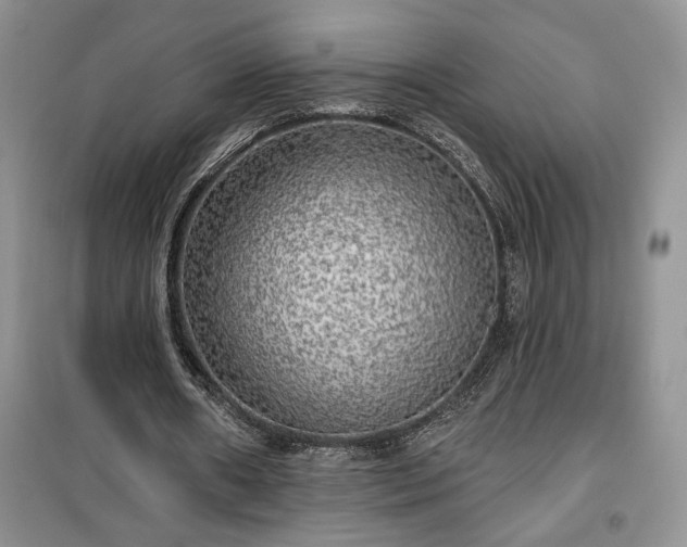 X0000100370482200806131041