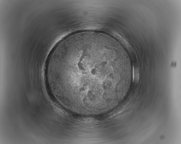 X0000100370483200806131041