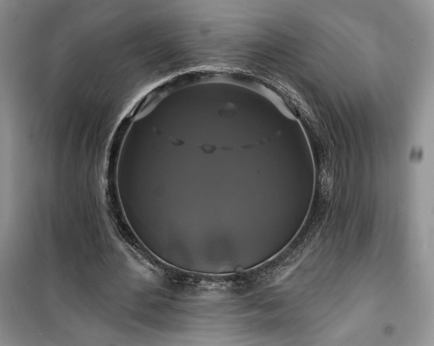 X0000100370484200806131041