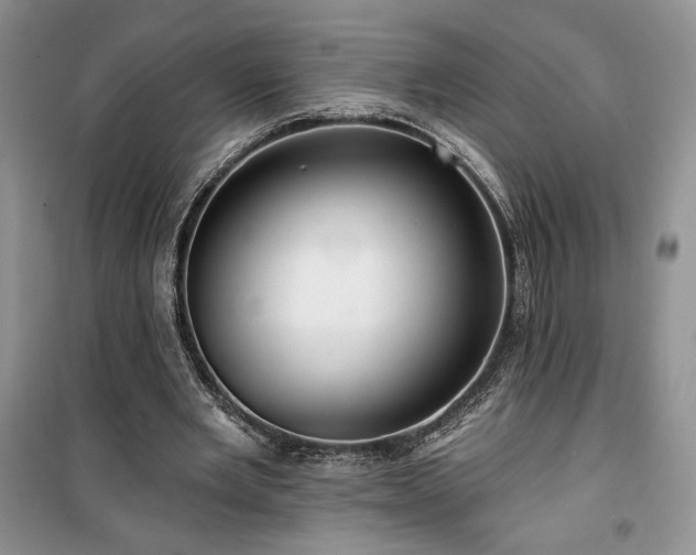 X0000100370485200806131041