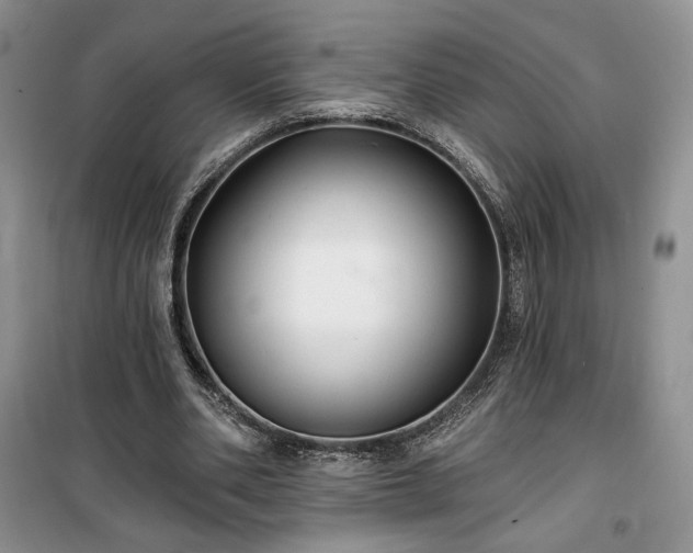 X0000100370486200806131041