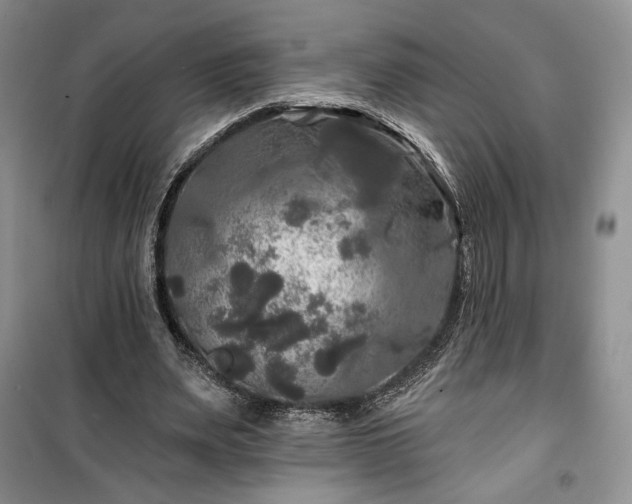 X0000100370487200806131041