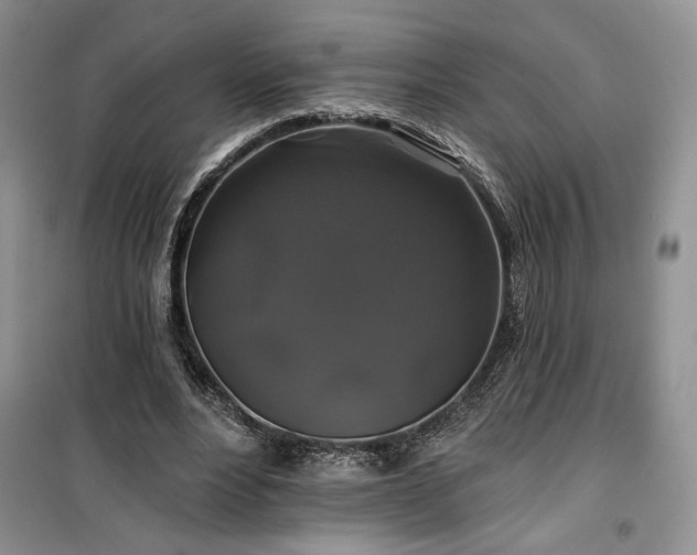 X0000100370488200806131041