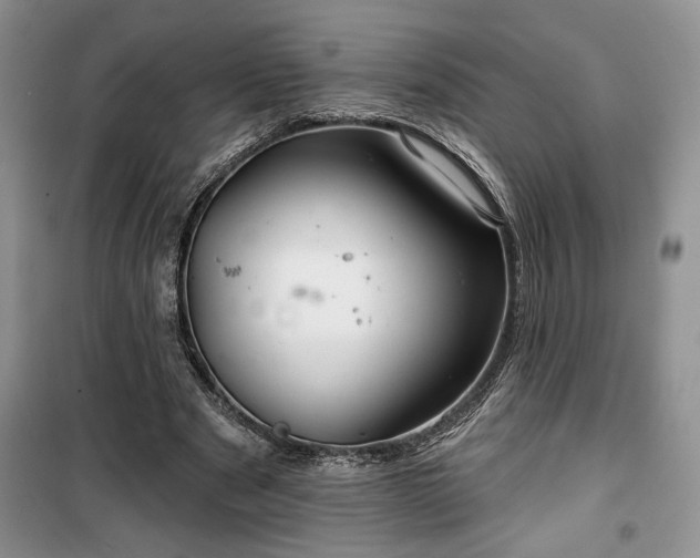 X0000100370489200806131041