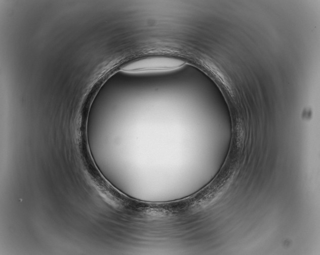 X0000100370490200806131041