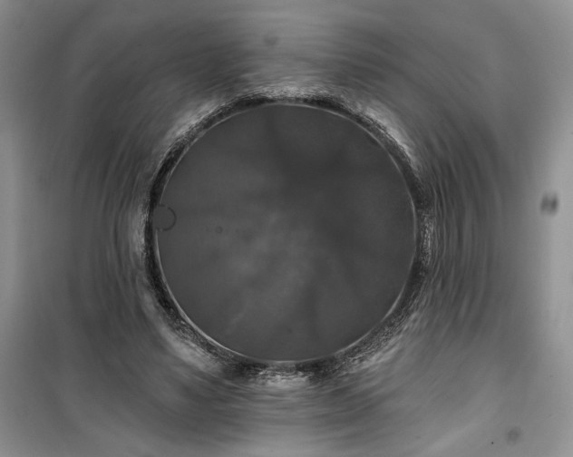 X0000100370491200806131041