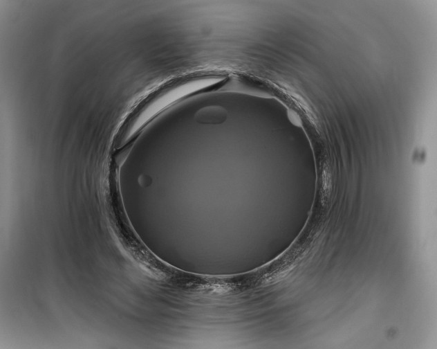 X0000100370492200806131041