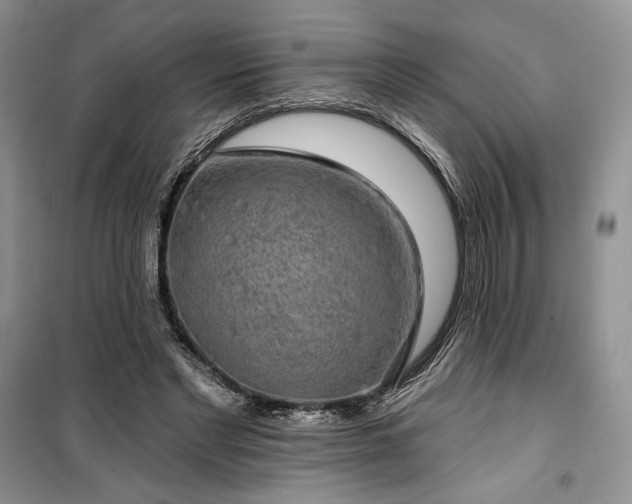 X0000100370493200806131041