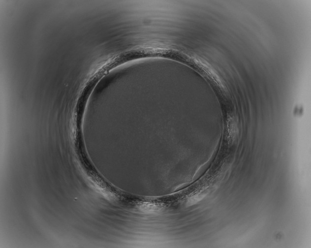 X0000100370494200806131041