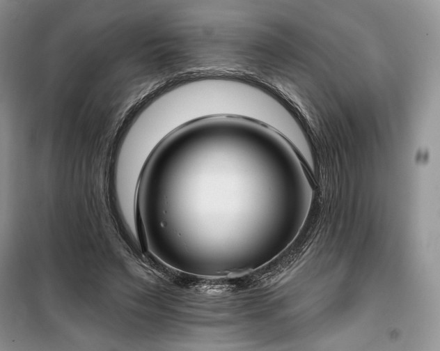 X0000100370495200806131041