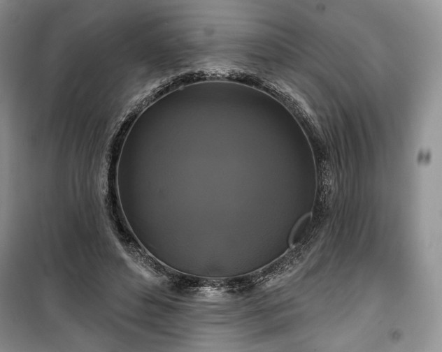 X0000100370496200806131041