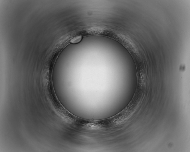 X0000100370498200806131041