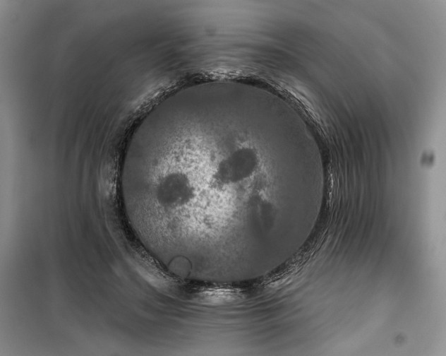 X0000100370499200806131041