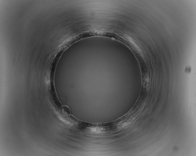 X0000100370500200806131041